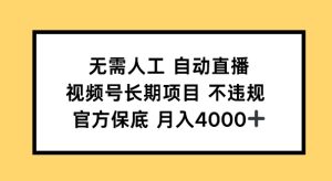 无需人工自动直播，视频号长期项目 不违规，官方保底月入4k左右-网创资源
