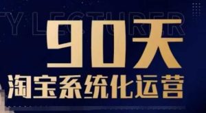 90天淘宝系统化运营，从入门到精通-网创资源