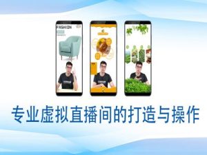 个人虚拟直播间的搭建与操作，专业虚拟直播间的打造与操作-网创资源