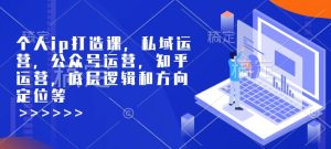 个人ip打造课，私域运营，公众号运营，知乎运营，底层逻辑和方向定位等-网创资源