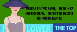 顶流女性IP实战班，流量上亿情绪引爆法，深度打磨顶流女性IP硬核基本功-网创资源