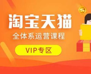 淘宝天猫全体系运营课程：店铺全系运营、动销玩法、付费推广、流量提升、擦边球玩法等等-网创资源