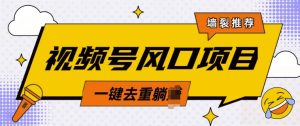 视频号风口蓝海项目，中老年人的流量密码，简单无脑，一键去重，轻松月入过W-网创资源