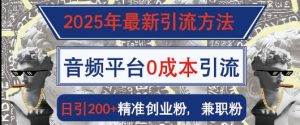 2025年最新引流方法，音频平台0成本引流，日引200+精准创业粉-网创资源