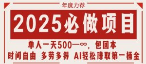 2025必做项目，时间自由，多劳多得，日入多张无上限-网创资源
