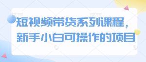 短视频带货系列课程，新手小白可操作的项目-网创资源
