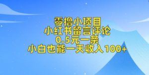 零撸小项目，小红书留言评论，0.5元一条，小白也能一天收入100+-网创资源