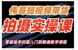 短视频带货拍摄实操课，零基础学拍摄入门到精通教学-网创资源