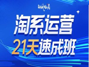 淘系运营21天速成班35期，年前最后一波和2025方向-网创资源