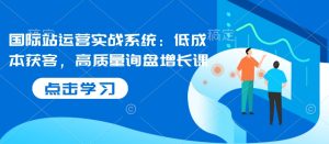 国际站运营实战系统：低成本获客，高质量询盘增长课-网创资源