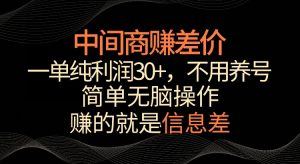 利用信息查赚差价，每单都有高利润，简单无脑操作，轻松日入多张-网创资源
