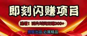 速看!零门槛即刻闪赚副业项目，轻松用碎片时间日入3张-网创资源