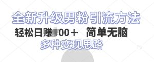 全新升级男粉引流方法，不需要真人出境，不需要你有才艺，二创风格 简单暴力-网创资源