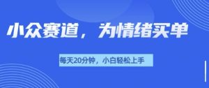 小众赛道，我的治愈系电子抱枕，让用户为情绪买单-网创资源