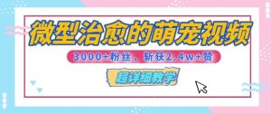 【揭秘】微型治愈的萌宠视频，3000+粉丝，6秒的视频斩获2.4w+赞【附详细教程】-网创资源