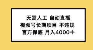 无需人工自动直播，视频号长期项目不违规，官方保底月入4000左右-网创资源
