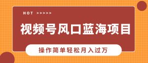 视频号风口蓝海项目，中老年人的流量密码，操作简单轻松月入过W-网创资源