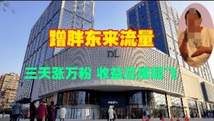 蹭胖东来流量，三天涨万粉，收益直接起飞-网创资源