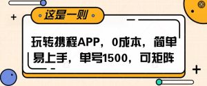 玩转携程APP，每天简单操作十五分钟，单号月入1500，可矩阵-网创资源