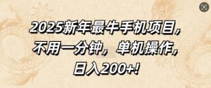 2025新年最牛手机项目，不用一分钟，单机操作，日入200+-网创资源