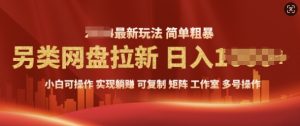 2025暴利长期实现躺Z，另类网盘拉新，简单发视频泛流拉新变现， 轻松日入多张-网创资源