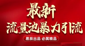 最新“流量池”无门槛暴力引流(全网首发)日引500+-网创资源