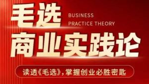 毛选商业实践论，读透《毛选》掌握创业必胜密匙-网创资源