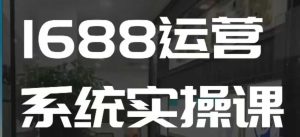 1688高阶运营系统实操课，快速掌握1688店铺运营的核心玩法-网创资源