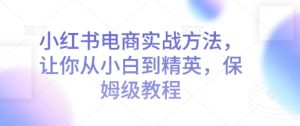 小红书电商实战方法，让你从小白到精英，保姆级教程-网创资源