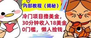 冷门项目撸美刀，30分钟收入18美刀，0门槛，懒人捡钱，无脑操作-网创资源