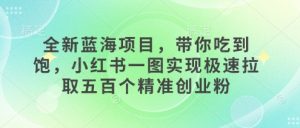 全新蓝海项目，带你吃到饱，小红书一图实现极速拉取五百个精准创业粉-网创资源