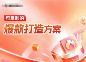 天猫电商爆款运营，可复制的爆款打造方案(线下内训课录音+字幕)-网创资源
