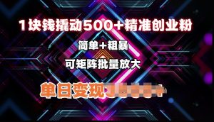 低价撬动500+精准创业粉，简单、粗暴、批量放大，单日变现多张-网创资源