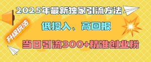 2025年最新独家引流方法，低投入高回报？当日引流300+精准创业粉-网创资源
