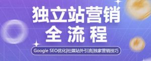 独立站营销全流程，Google SEO优化，社媒站外引流，独家营销技巧-网创资源
