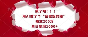 疯了吧！用AI做了个“会做饭的猫”，播放200万，单日变现1k-网创资源