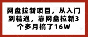 网盘拉新项目，从入门到精通，靠网盘拉新3个多月搞了16W-网创资源