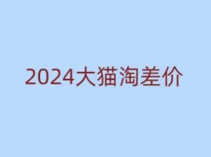 2024版大猫淘差价课程，新手也能学的无货源电商课程-网创资源