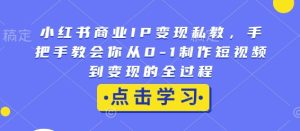 小红书商业IP变现私教，手把手教会你从0-1制作短视频到变现的全过程-网创资源