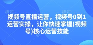 视频号直播运营，视频号0到1运营实操，让你快速掌握(视频号)核心运营技能-网创资源