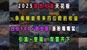 2025自热引流天花板，一条视频能带来四位数的收益，引流+变现双管齐下，日引500+创业粉，涨粉嘎嘎猛-网创资源