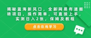揭秘蓝海新风口，全新网易有道搬砖项目，操作简单，可直接上手，实测日入2张，保姆及教程-网创资源