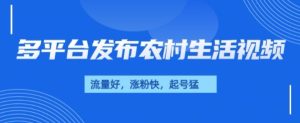 治愈系农村生活视频，多平台发布，流量好，起号快-网创资源