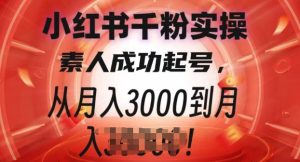 小红书千粉实操课，素人成功起号，从月入3000到月入过W-网创资源
