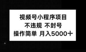 视频号小程序项目，不违规不封号，操作简单 月入5000+-网创资源