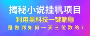 揭秘小说项目，利用黑科技一键躺Z模式，是如何做到一天三位数的-网创资源