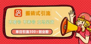 快手搬砖式引流，不废号，不养号，立马见效，单日引流300+精准创业粉-网创资源