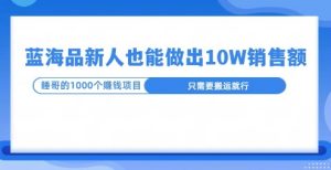 这个蓝海品，新号也能卖出10W的销售额，年底疯狂怼量就能出结果-网创资源