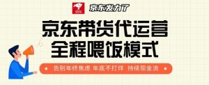京东带货代运营全程喂饭模式，告别年终焦虑 年底不打烊 持续现金流+-网创资源