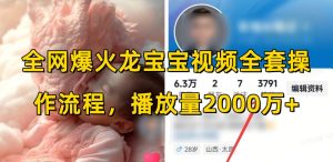 全网爆火龙宝宝视频全套操作流程，播放量2000万+-网创资源